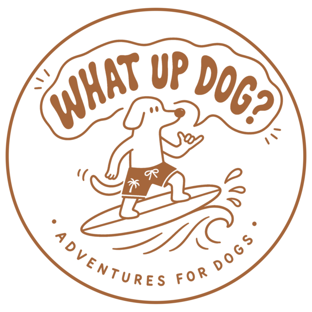 What Up Dog? — Adventures For Dogs logo
